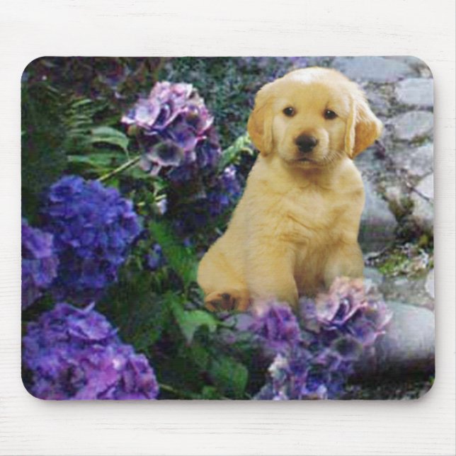 Guld- RetrieverMousepad vanlig hortensia Musmatta (Framsidan)