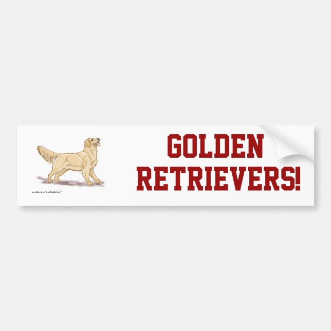 Guld- Retrievers! Bildekal (Framsidan)