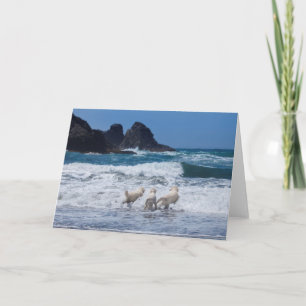 Guld Retrievers Greeting Card Kort