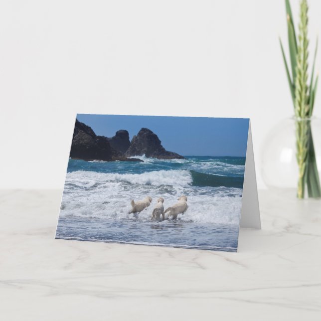 Guld Retrievers Greeting Card Kort (Framsida)
