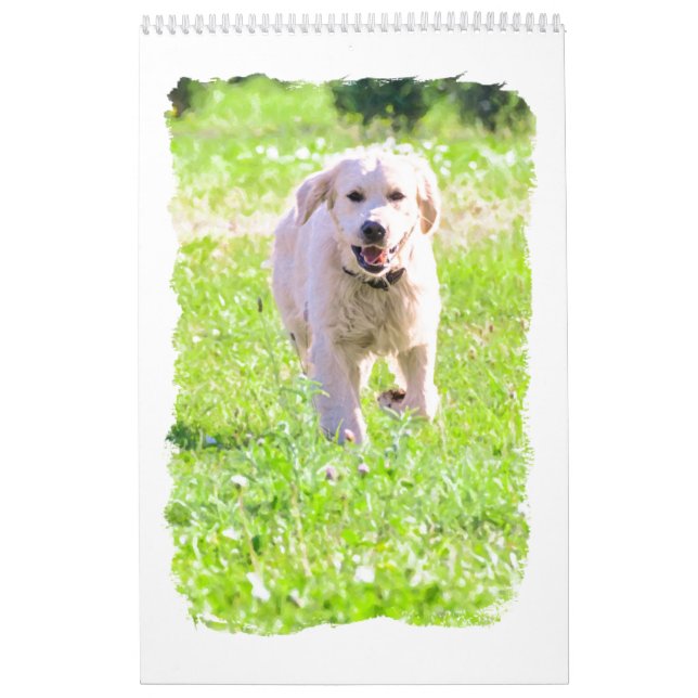 Guld- retrievers kalender (Omslag)
