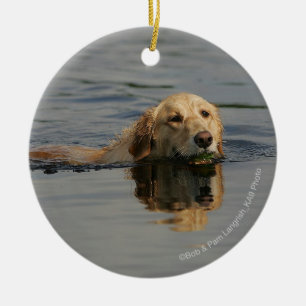 Guld- Retrieversimning Julgransprydnad Keramik