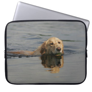 Guld- Retrieversimning Laptop Fodral