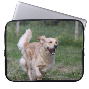 Guld- Retrieverspring 1 Laptop Sleeve