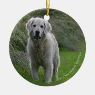 Guld- Retrieverspring 2 Julgransprydnad Keramik