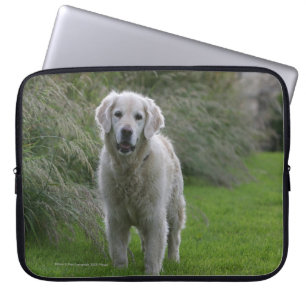 Guld- Retrieverspring 2 Laptop Fodral