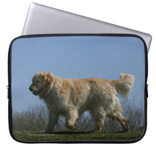 Guld- Retrieverspring 3 Laptop Fodral