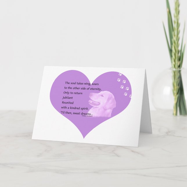 Guld- Retrieversympatikort 1 Kort (Framsida)