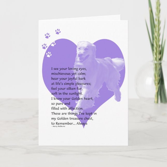 Guld- Retrieversympatikort 2 Kort (Framsida)