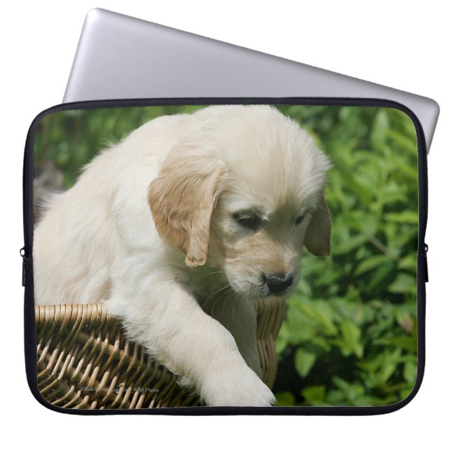 Guld- Retrievervalp i basket Laptop Sleeve (Framsidan)
