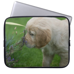 Guld- Retrievervalp Laptop Fodral