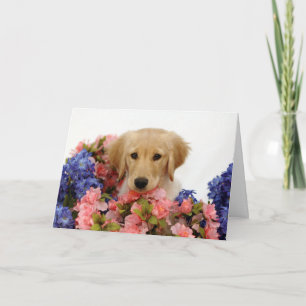 Guld- Retrievervalp och blommor Kort