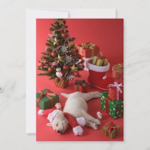 Guld- Retrievervalp och jul Julkort