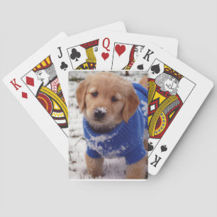 Guld- Retrievervalp Spel Kort