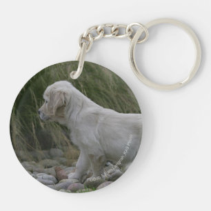 Guld- Retrievervalpanseende