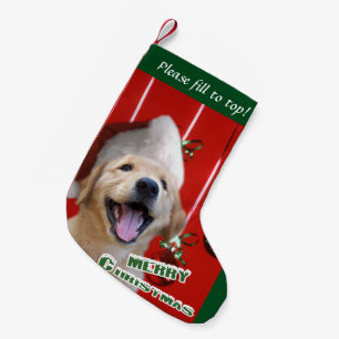 Guld- Retrievervalpjul Liten Julstrumpa