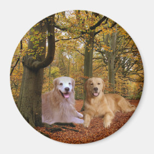 Guld- Retrievervänskapmagnet Magnet