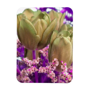 Guld Ro W/Lila N Rosa Fridge Magnet