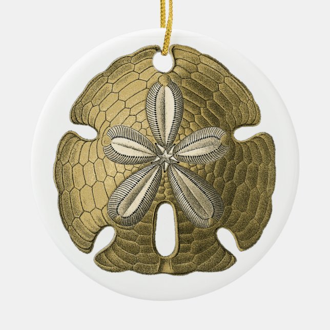 Guld Sand Dollar Ornament (Framsidan)