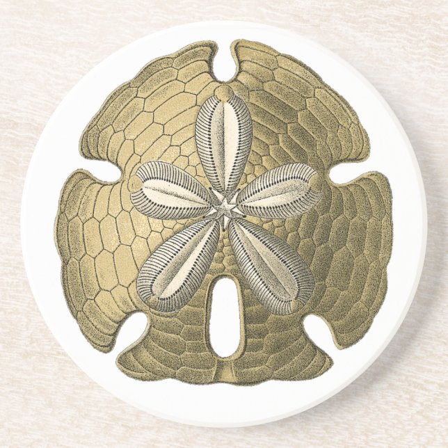 Guld Sand Dollar Stone Underlägg (Framsidan)