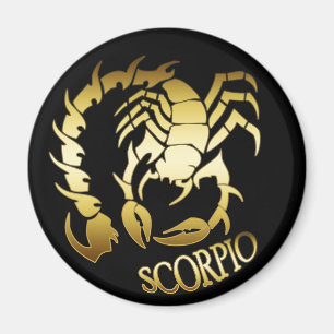 GULD- SCORPIO MAGNET