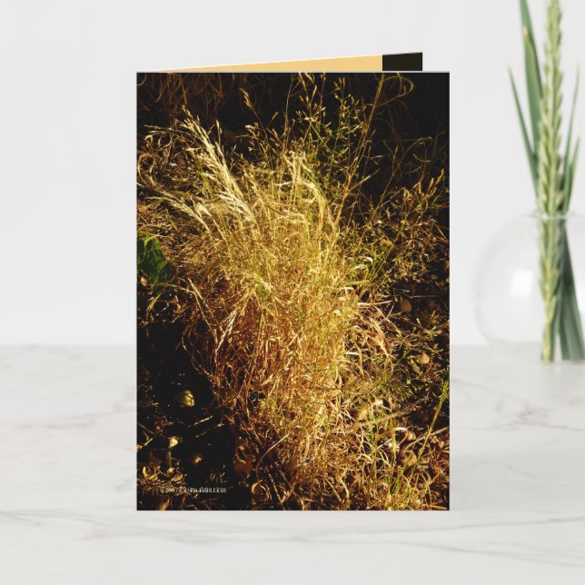 Guld- skörd kort (Framsida)