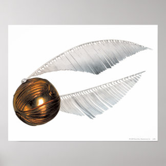 Guld- Snitch för Harry Potter pass | Poster