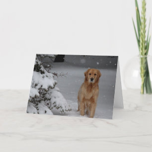 Guld- snöig jul helgkort