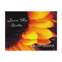 Guld Solros Spara Datum Brud Brudgum Bröllop