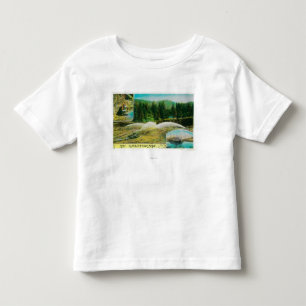 Guld som bryter i Kalifornien StateState T-shirt