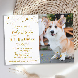 Guld Stars Birthday Personlig Pet Photo Hund Inbjudningar