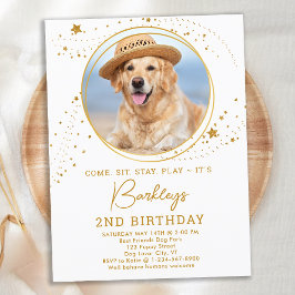 Guld Stars Hund Birthday Personlig Pet Photo Inbjudan Vykort