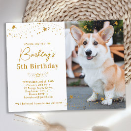 Guld Stars Personlig Pet Photo Hund Birthday Inbjudan Vykort