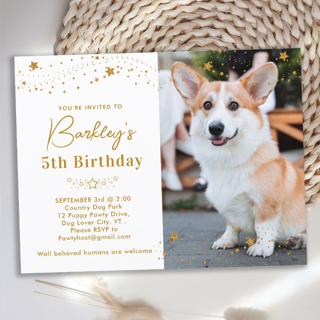 Guld Stars Personlig Pet Photo Hund Birthday Inbjudan Vykort (Skapare uppladdad)