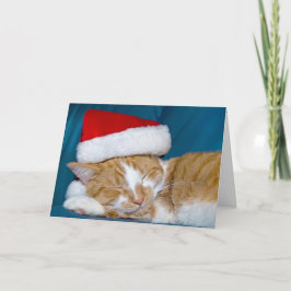 Guld tabby, jul kort