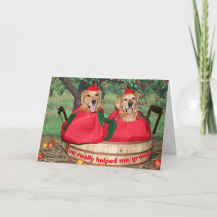 Guld- tack för Retrieveräpplelärare