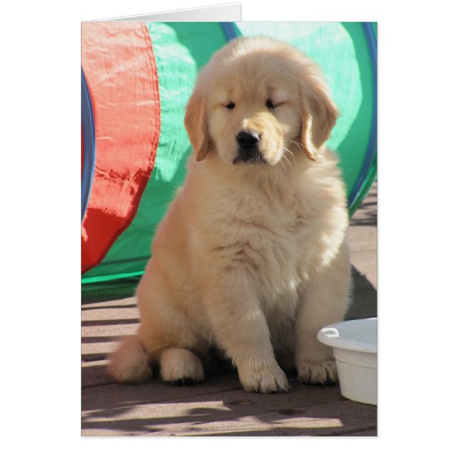 Guld- Thinkin Hälsningskort (Framsidan)