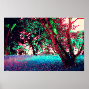 Guld- timmeaffisch - storlekt stort (34" x 22") poster