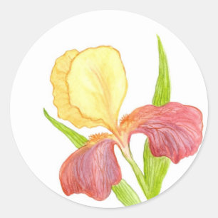 Guld Top Iris Sticker Runt Klistermärke