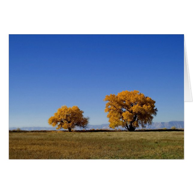 Guld- träd OBS kort (Framsidan Horizontal)