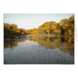 Guld- träd och Pond. OBS Kort