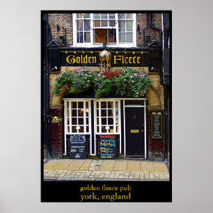 guld- ull poster