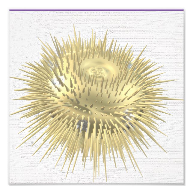 Guld Urchin Fototryck (Framsidan)