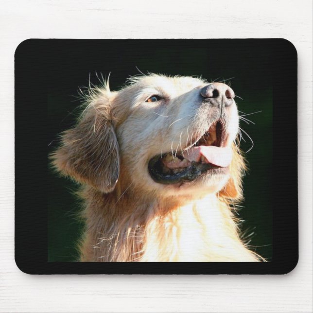 Guld- valp för RetrieverMousepad lycklig Musmatta (Framsidan)