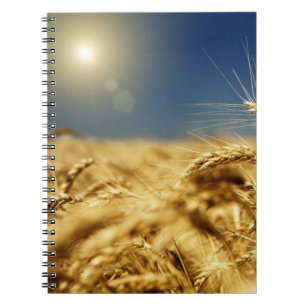 Guld vete och blå himmel med sol anteckningsbok med spiral