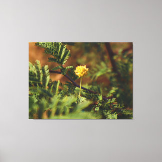 Guld Vild Blomma Makro Naturfotografering Canvastryck