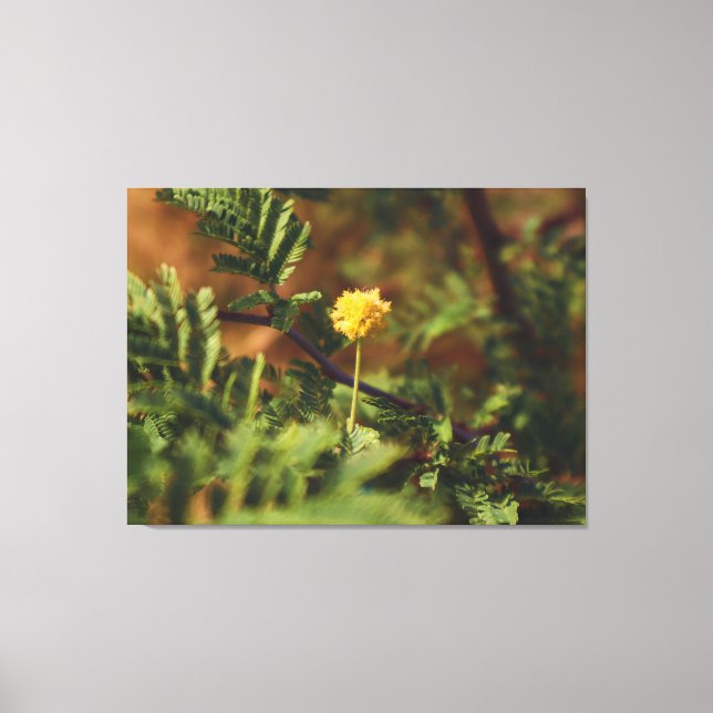 Guld Vild Blomma Makro Naturfotografering Canvastryck (Framsida)