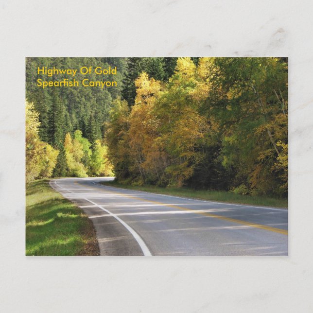 Guld                  .. vykort (Framsida)