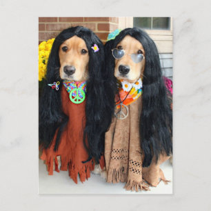 Guld- vykort för RetrieverHalloween Hippie