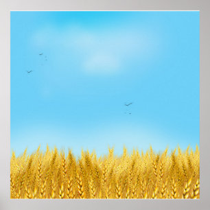 Guld Wheat Fält Blå himmel Oljemålning, sommar Poster